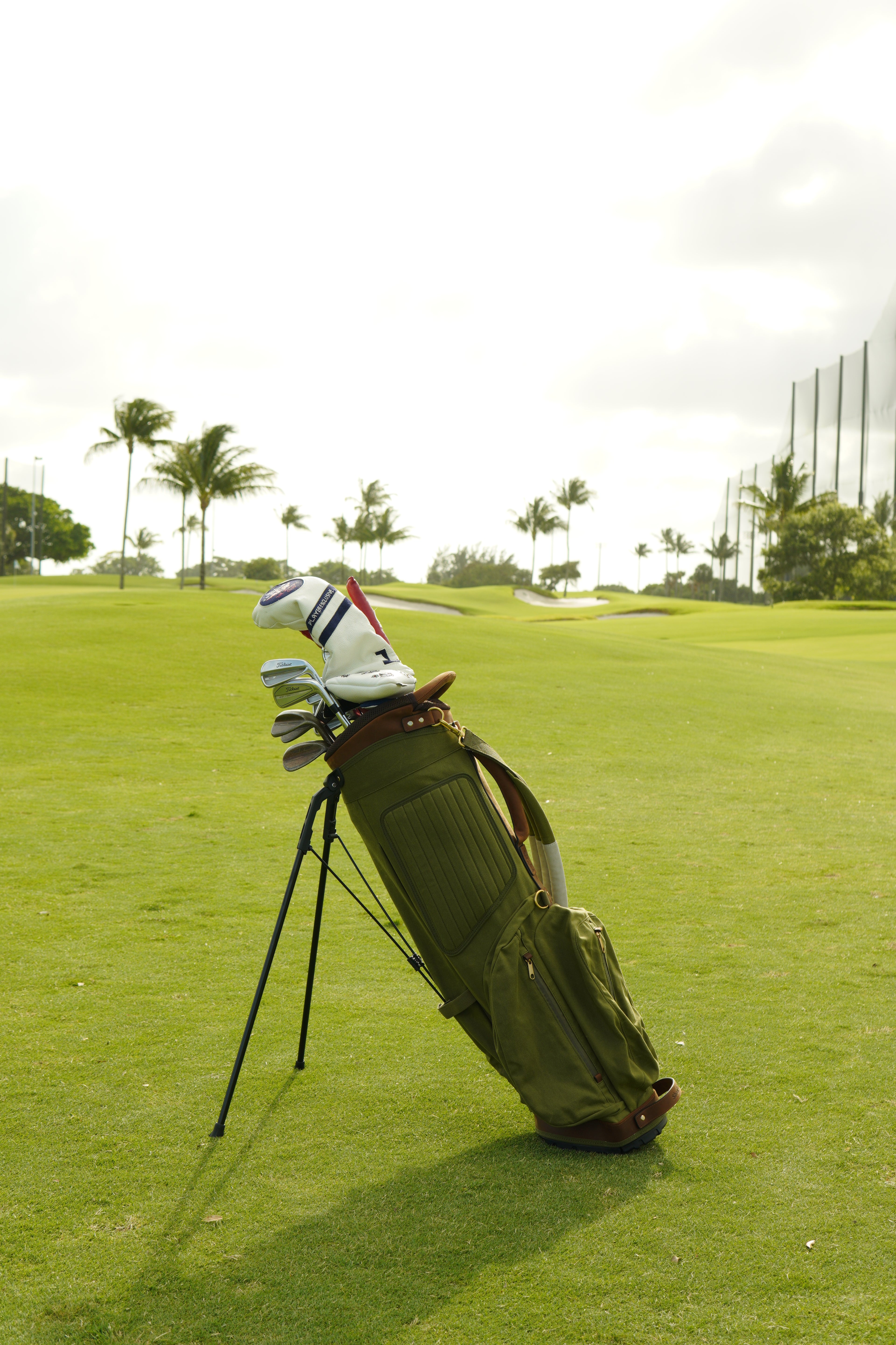 The Shoal Standard Bag Preorder - Sage