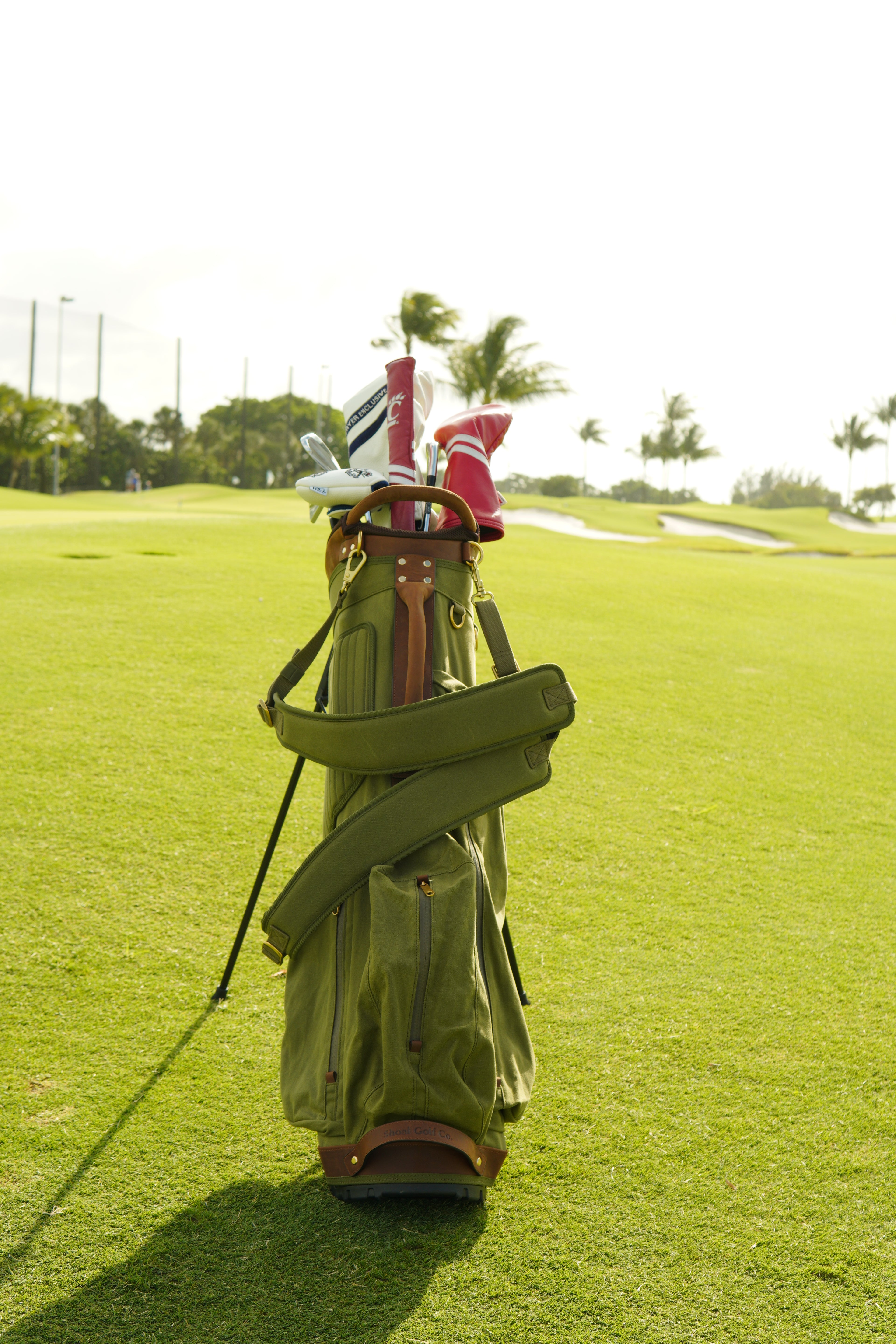 The Shoal Standard Bag Preorder - Sage