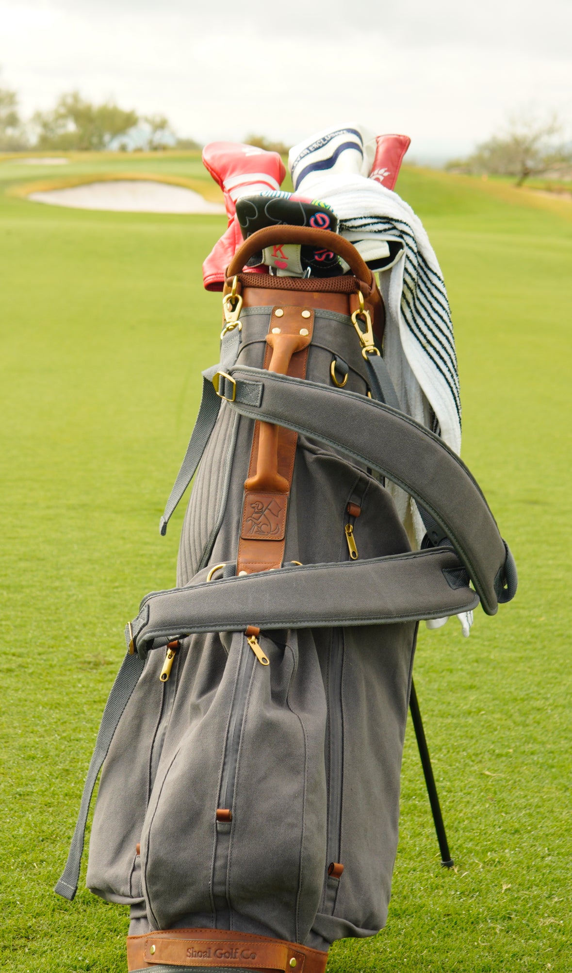 The Shoal Standard Bag